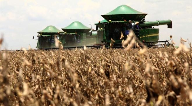 Produtores rurais terão crédito com redução nas taxas de juros