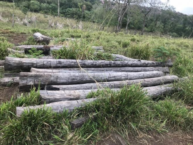 Produtor rural é multado em R$ 11,2 mil por três crimes ambientais