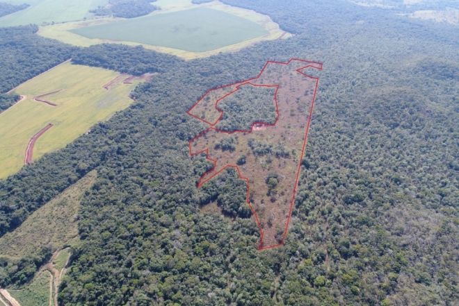 Fazendeiro desmata ilegalmente cinco áreas de vegetação nativa em Bonito