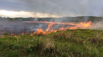 Queimadas aumentam durante o período de estiagem e podem gerar prejuízo à produção 