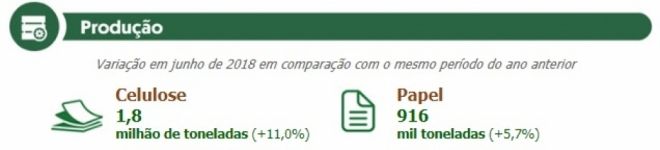 Setor de floresta plantada exportou US$ 5,5 bilhões no primeiro semestre
