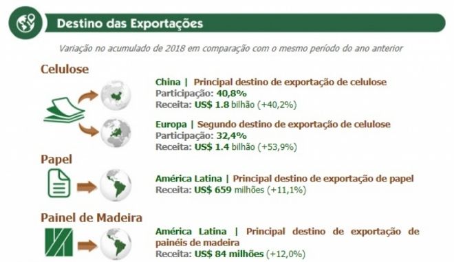 Setor de floresta plantada exportou US$ 5,5 bilhões no primeiro semestre