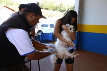 Vacinação Antirrábica em Dourados, cobre região do Cachoeirinha nesta semana