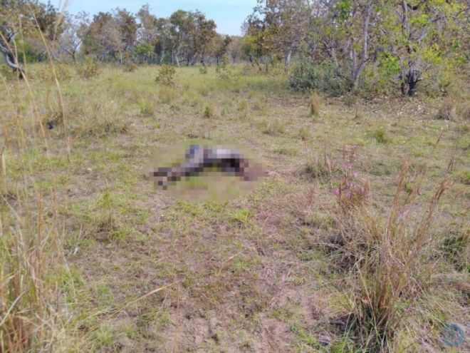 Corpo encontrado há seis dias no pantanal ‘apodrece’ esperando por autoridades