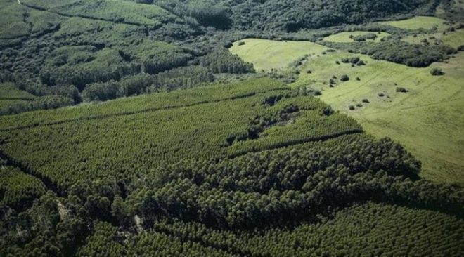 Semagro regulamenta compensa&ccedil;&atilde;o de reserva legal em unidades de conserva&ccedil;&atilde;o