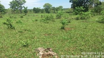 PMA autua proprietário rural em R$ 5,7 mil por desmatamento ilegal
