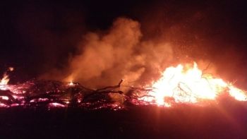PMA autua infrator em R$ 7 mil por incêndio e desmatamento ilegal