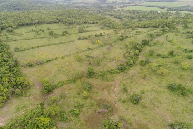 PMA autua fazendeiro em R$ 11 mil por desmatamento ilegal de 38 hectares