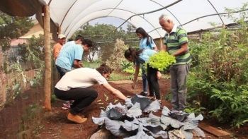 Projeto Horta Escolar já ganhou prêmio nacional