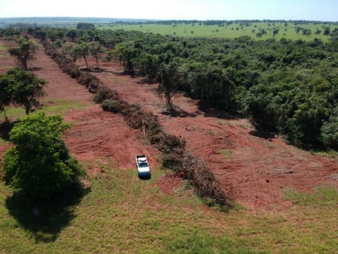 PMA autua pecuarista em R$ 38 mil por desmatamento ilegal de 38 hectares