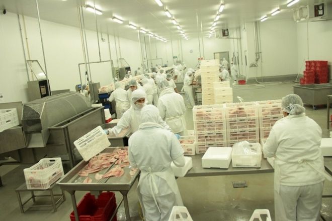 Radar da Fiems destaca elevação na produção industrial de MS 