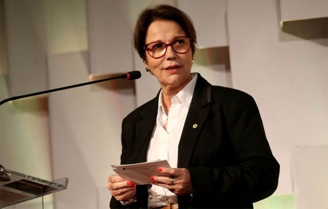 ColunaMarcoEus&eacute;bio
