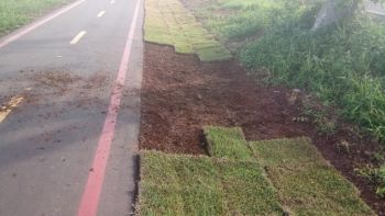 Placas de grama são roubadas da ciclovia de Rio Verde e Prefeito oferece gratificação para quem denunciar