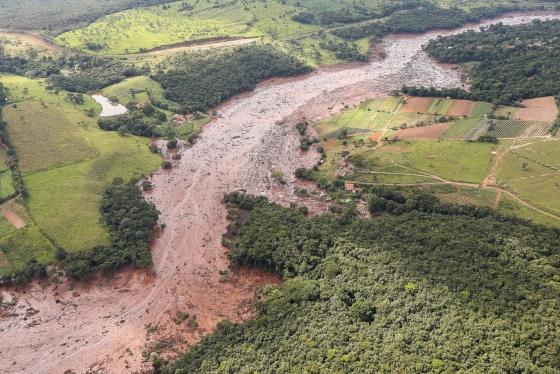 Deputados federais querem acompanhar desdobramentos em Brumadinho