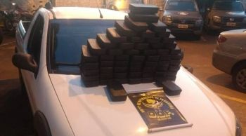 DOF apreende droga avaliada em R$ 1,24 milhão