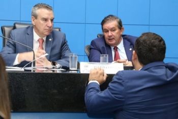 Na primeira sessão do ano, deputados indicam membros de comissões
