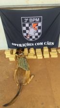 Mineira é presa tentando levar droga para o RJ