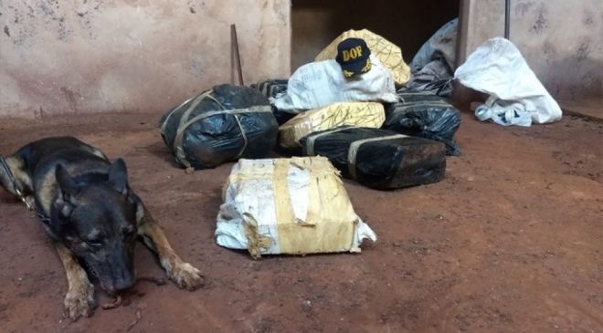 DOF apreende meia tonelada de droga em galpão abandonado