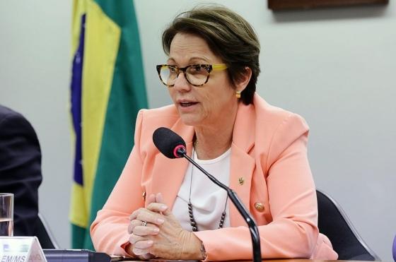 A nova ministra da Agricultura, Tereza Cristina, será ouvida na Comissão de Agricultura e Reforma Agrária