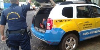 Jovem é preso entregando cocaína no centro