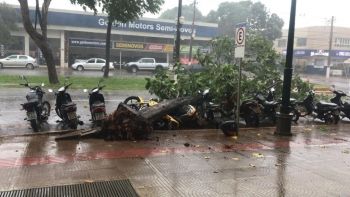 Chuvas intensas causam prejuízos na capital e no interior