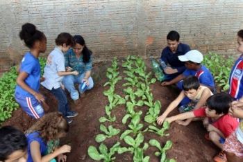 Cerca de 300 alunos da E.M. “Júlio Colino” participam de projeto em prol das famílias da Vila Vicentina
