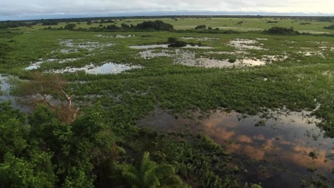 Os desafios de preservação do Pantanal no Brasil de 2019