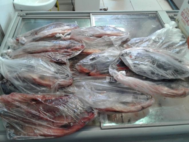 Procon apreende carnes e peixes impróprios para consumo em supermercados na Capital