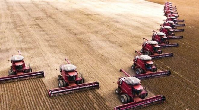 MS aumenta área plantada e entra para maiores produtores de grãos do país