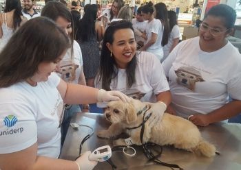 Alunos da Uniderp promovem o Dia do Cão Idoso com serviços gratuitos 