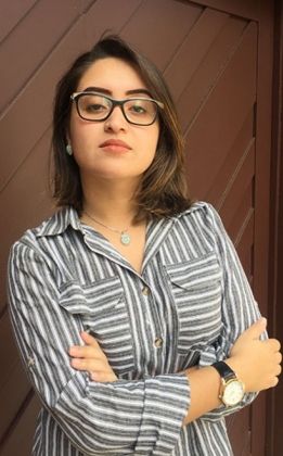 Isabela de Paula Nantes - Artigo
