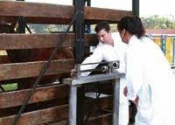 CRMV-MS realiza evento em comemoração ao Dia do Zootecnista
