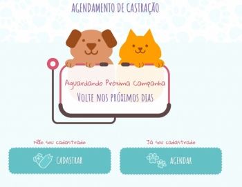 Vagas online para castração de gatos no CCZ de Campo Grande esgotaram em 12 minutos
