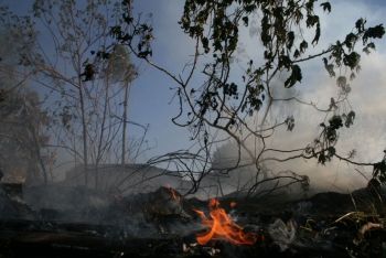 Foto ilustrativa de queimada, fogo, incêndio