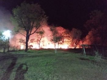 Mais um incêndio no Parque dos Poderes