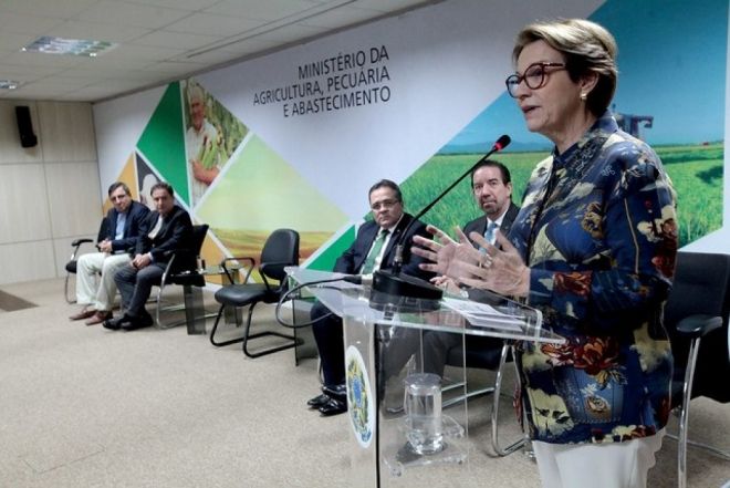 Queimadas não deve resultar em sanções ao agronegócio, afirma Tereza Cristina