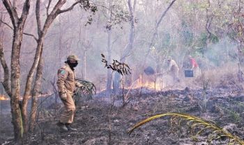 Fazenda Caiman cria operação para combater “chamas” 