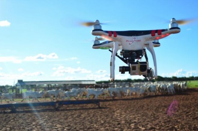 Produtores rurais utilizam drones para tocar a boiada 