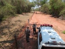 Mais de R$ 6 milhões em multas são aplicadas em “Operação Mata Atlântica em Pé” 