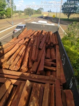 Motorista é multado em R$ 5 mil por transportar madeira ilegal 