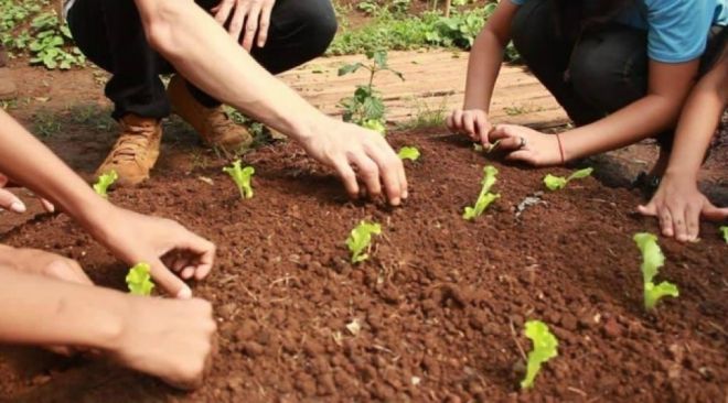 Governo e Prefeitura lançam projeto de agricultura urbanas em escolas