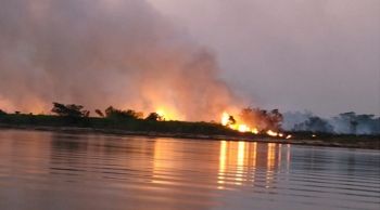 Novos incêndios atingem o Pantanal 