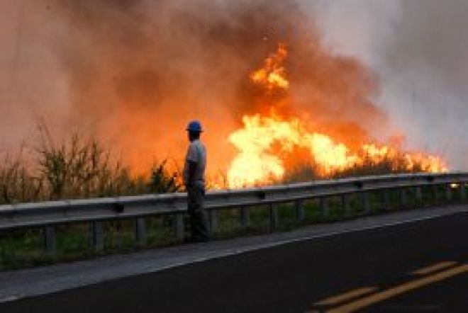 Incêndio já destruiu cerca de 50 mil hectares 