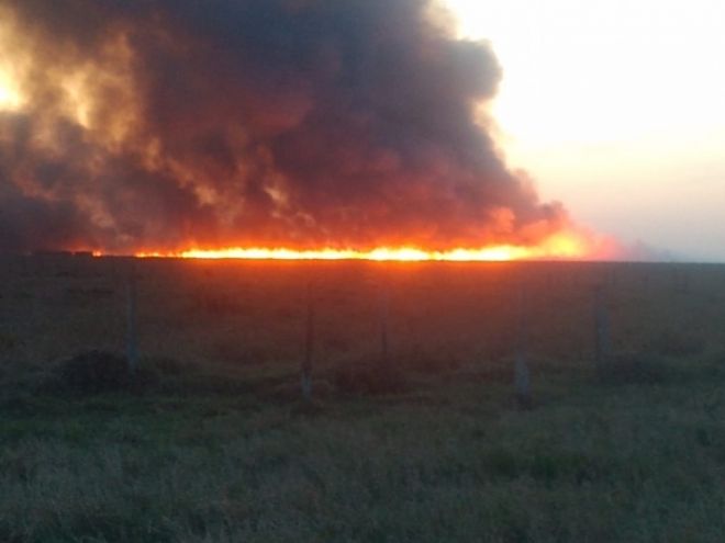 Multas por incêndio somaram mais de R$ 4 milhões 