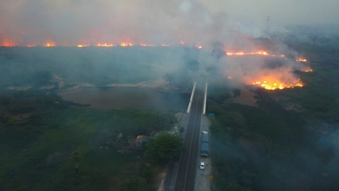 Incêndio já destruiu cerca de 50 mil hectares 