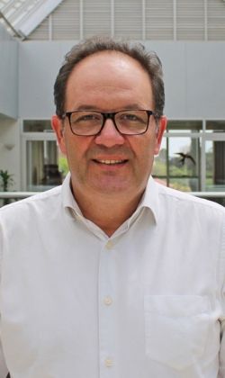 Wilson Bremer Cerqueira - Artigo