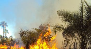 Campanha contra queimadas autuou 400 proprietários de terrenos baldios