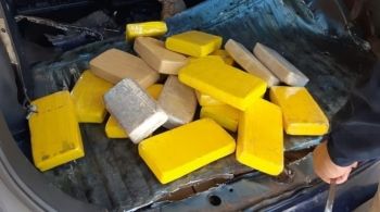 PRF apreende 71 Kg de cocaína e sementes de maconha 