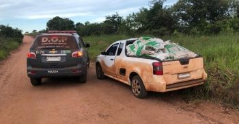 DOF apreende agrotóxico contrabandeado