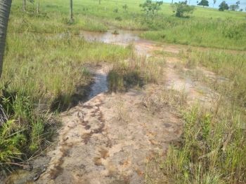 Pecuarista é multado em R$ 8,4 mil